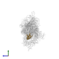 Small ribosomal subunit protein uS7 in PDB entry 4jya, assembly 1, side view.