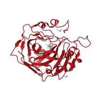 The deposited structure of PDB entry 4k0t contains 1 copy of CATH domain 3.10.200.10 (Carbonic Anhydrase II) in Carbonic anhydrase 2. Showing 1 copy in chain A.