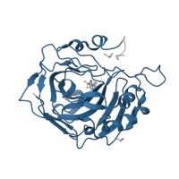 The deposited structure of PDB entry 4k0t contains 1 copy of Pfam domain PF00194 (Eukaryotic-type carbonic anhydrase) in Carbonic anhydrase 2. Showing 1 copy in chain A.