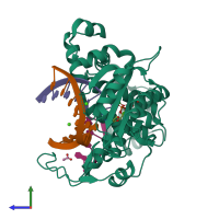 Hetero tetrameric assembly 2 of PDB entry 4k4g coloured by chemically distinct molecules, side view.