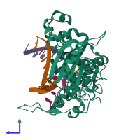 Hetero tetrameric assembly 3 of PDB entry 4k4g coloured by chemically distinct molecules, side view.