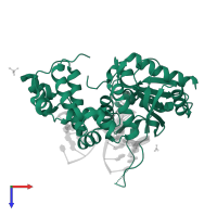 DNA polymerase lambda in PDB entry 4k4g, assembly 4, top view.