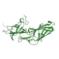 The deposited structure of PDB entry 4k4k contains 2 copies of Pfam domain PF13149 (Fimbrillin-like) in Putative fimbrium subunit Fim1C. Showing 1 copy in chain B.