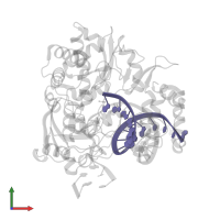 RNA (5'-R(*UP*GP*UP*UP*CP*GP*AP*CP*GP*AP*GP*AP*GP*AP*GP*A)-3') in PDB entry 4k4u, assembly 1, front view.