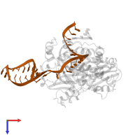 RNA (33-MER) in PDB entry 4k50, assembly 1, top view.