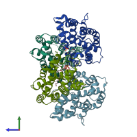 PDB entry 4k85 coloured by chain, side view.