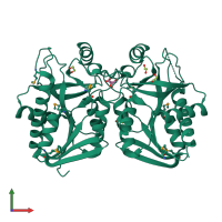 Homo dimeric assembly 1 of PDB entry 4kn5 coloured by chemically distinct molecules, front view.