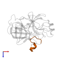 Microviridin in PDB entry 4kts, assembly 1, top view.