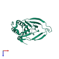 Cysteine dioxygenase type 1 in PDB entry 4kwl, assembly 1, top view.