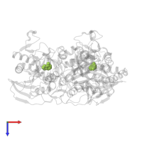 ADENINE in PDB entry 4l6i, assembly 1, top view.