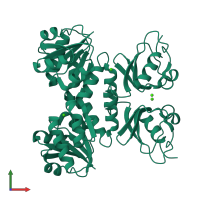 Homo dimeric assembly 2 of PDB entry 4l76 coloured by chemically distinct molecules, front view.