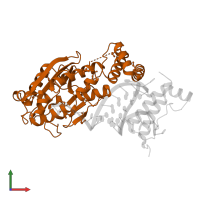 3'-5' exoribonuclease 1 in PDB entry 4l8r, assembly 1, front view.