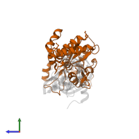 3'-5' exoribonuclease 1 in PDB entry 4l8r, assembly 1, side view.