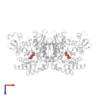 Modified residue KCX in PDB entry 4lf1, assembly 2, top view.