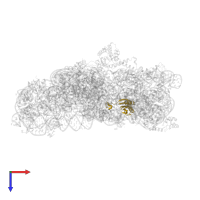 Small ribosomal subunit protein uS11 in PDB entry 4lf8, assembly 1, top view.