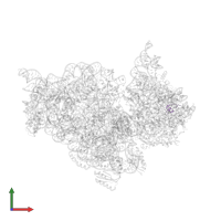 Small ribosomal subunit protein bTHX in PDB entry 4lf9, assembly 1, front view.