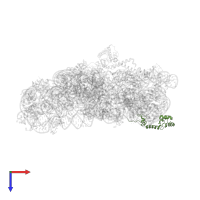 Small ribosomal subunit protein uS13 in PDB entry 4lfc, assembly 1, top view.