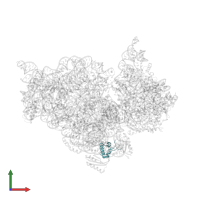 Small ribosomal subunit protein bS18 in PDB entry 4lfc, assembly 1, front view.