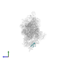 Small ribosomal subunit protein bS18 in PDB entry 4lfc, assembly 1, side view.