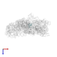 Small ribosomal subunit protein bS18 in PDB entry 4lfc, assembly 1, top view.