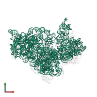 16S ribosomal RNA in PDB entry 4lfc, assembly 1, front view.