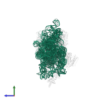 16S ribosomal RNA in PDB entry 4lfc, assembly 1, side view.