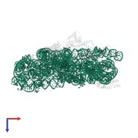 16S ribosomal RNA in PDB entry 4lfc, assembly 1, top view.