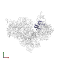 Small ribosomal subunit protein uS3 in PDB entry 4lfc, assembly 1, front view.