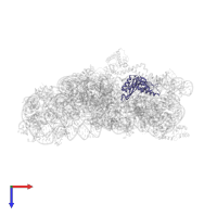 Small ribosomal subunit protein uS3 in PDB entry 4lfc, assembly 1, top view.
