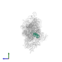 Small ribosomal subunit protein uS9 in PDB entry 4lfc, assembly 1, side view.