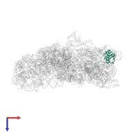 Small ribosomal subunit protein uS9 in PDB entry 4lfc, assembly 1, top view.