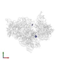 Modified residue PSU in PDB entry 4lfc, assembly 1, front view.