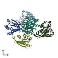 PDB entry 4lhw coloured by chain, front view.