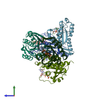 PDB entry 4lhw coloured by chain, side view.
