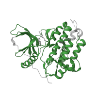The deposited structure of PDB entry 4li5 contains 1 copy of Pfam domain PF07714 (Protein tyrosine and serine/threonine kinase) in Epidermal growth factor receptor. Showing 1 copy in chain A.