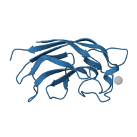 The deposited structure of PDB entry 4lkf contains 2 copies of Pfam domain PF07828 (PA-IL-like protein) in PA-I galactophilic lectin. Showing 1 copy in chain A.