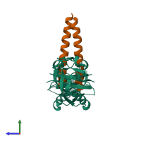 Hetero tetrameric assembly 1 of PDB entry 4lpz coloured by chemically distinct molecules, side view.