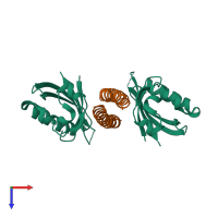 Hetero tetrameric assembly 1 of PDB entry 4lpz coloured by chemically distinct molecules, top view.