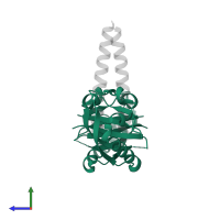 Aryl hydrocarbon receptor nuclear translocator in PDB entry 4lpz, assembly 1, side view.