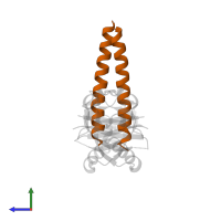 Transforming acidic coiled-coil-containing protein 3 in PDB entry 4lpz, assembly 1, side view.