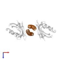 Transforming acidic coiled-coil-containing protein 3 in PDB entry 4lpz, assembly 1, top view.