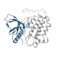 The deposited structure of PDB entry 4lrm contains 5 copies of CATH domain 3.30.200.20 (Phosphorylase Kinase; domain 1) in Epidermal growth factor receptor. Showing 1 copy in chain A.