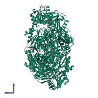 Homo hexameric assembly 1 of PDB entry 4lyg coloured by chemically distinct molecules, side view.