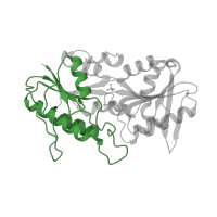 The deposited structure of PDB entry 4lzn contains 2 copies of Pfam domain PF13793 (N-terminal domain of ribose phosphate pyrophosphokinase) in Ribose-phosphate pyrophosphokinase 1. Showing 1 copy in chain A [auth B].