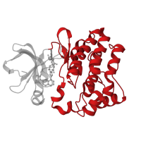 The deposited structure of PDB entry 4m14 contains 1 copy of CATH domain 1.10.510.10 (Transferase(Phosphotransferase); domain 1) in Tyrosine-protein kinase ITK/TSK. Showing 1 copy in chain A.