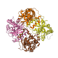 The deposited structure of PDB entry 4m1c contains 8 copies of CATH domain 3.30.830.10 (Cytochrome Bc1 Complex; Chain A, domain 1) in Insulin-degrading enzyme. Showing 4 copies in chain A.