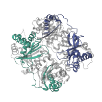The deposited structure of PDB entry 4m1c contains 4 copies of Pfam domain PF05193 (Peptidase M16 inactive domain) in Insulin-degrading enzyme. Showing 2 copies in chain A.
