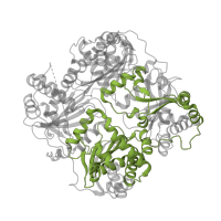 The deposited structure of PDB entry 4m1c contains 2 copies of Pfam domain PF16187 (Middle or third domain of peptidase_M16) in Insulin-degrading enzyme. Showing 1 copy in chain A.