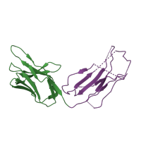 The deposited structure of PDB entry 4m1c contains 4 copies of CATH domain 2.60.40.10 (Immunoglobulin-like) in Fab-bound IDE, light chain. Showing 2 copies in chain F.