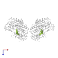 FLAVIN MONONUCLEOTIDE in PDB entry 4m5p, assembly 1, top view.